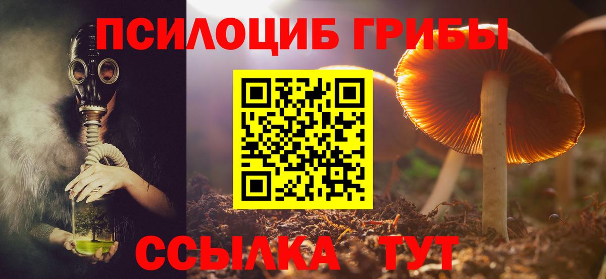 Галлюциногенные грибы мухоморы Саяногорск